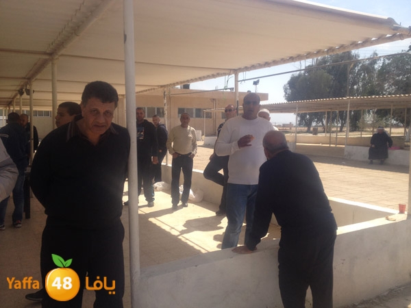 3omraludmakka325 (3).JPG